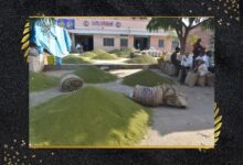 Untitled design 10 3