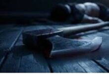 बेटे ने कुल्हाड़ी मार कर पिता को उतारा मौत के घाट: शराब के नशे में कर रहा था मां से झगड़ा 11 Untitled design 36