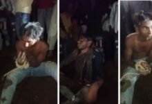 तालिबानी सजा: रायसेन के दो युवकों को लड़कियों के कपड़े पहनाए, गोबर खिलाया और बाल काटे 16 Untitled design 39 1