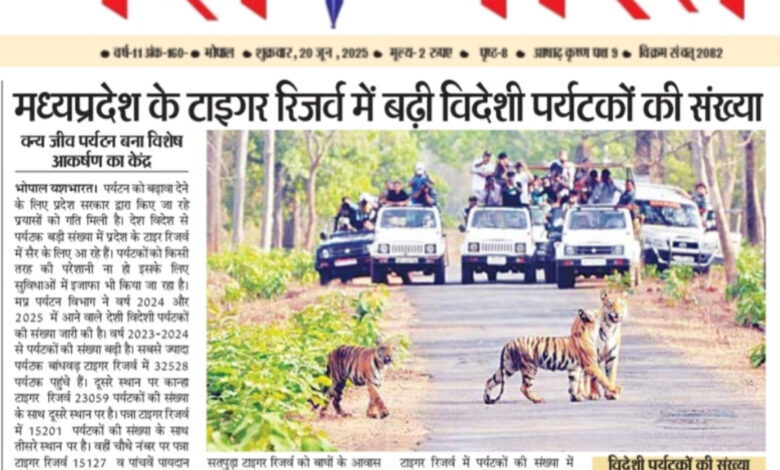 WhatsApp Image 2025 06 20 at 14.37.22