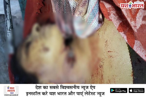 WhatsApp Image 2025 06 25 at 6.35.29 AM