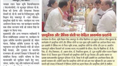 WhatsApp Image 2025 06 27 at 3.55.22 AM 1