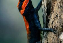 WhatsApp Image 2025 06 28 at 09.45.45