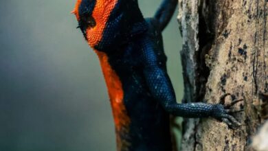 WhatsApp Image 2025 06 28 at 09.45.45