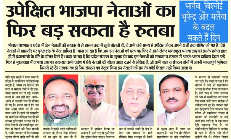 WhatsApp Image 2025 06 28 at 15.27.07