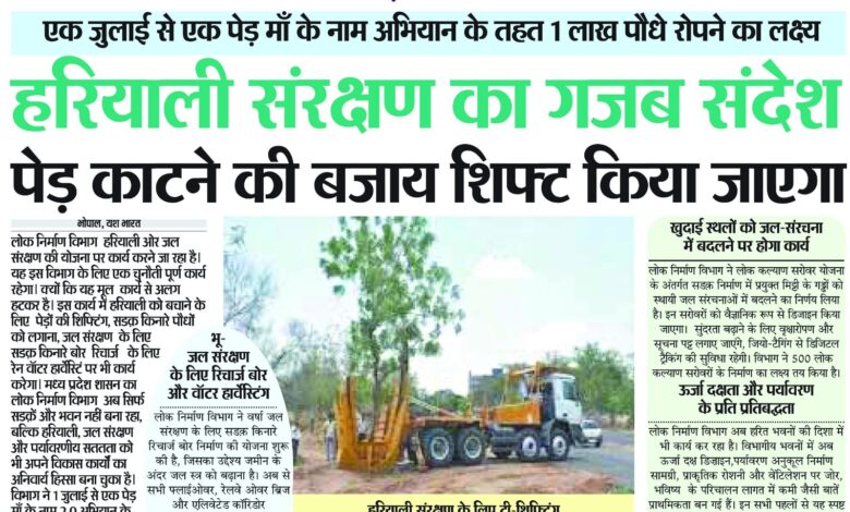 WhatsApp Image 2025 06 28 at 15.27.08