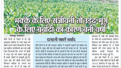 WhatsApp Image 2025 06 28 at 4.57.00 AM 2