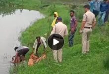 IMG 082348 22725 1753152844996