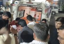 IMG 083200 19725 1752894133249