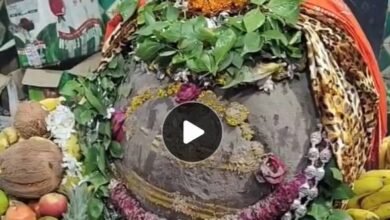 गैविनाथ धाम में लगा भक्तों का अपार मेला: VIP एंट्री पर रोक 8 IMG 132614 21725 1753084590858