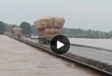 IMG 142122 11725 1752223894410