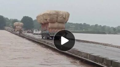 IMG 142122 11725 1752223894410