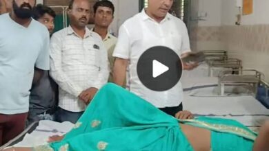 IMG 231351 10725 1752169450207