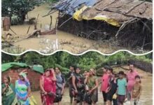 InCollage 20250711 105039390