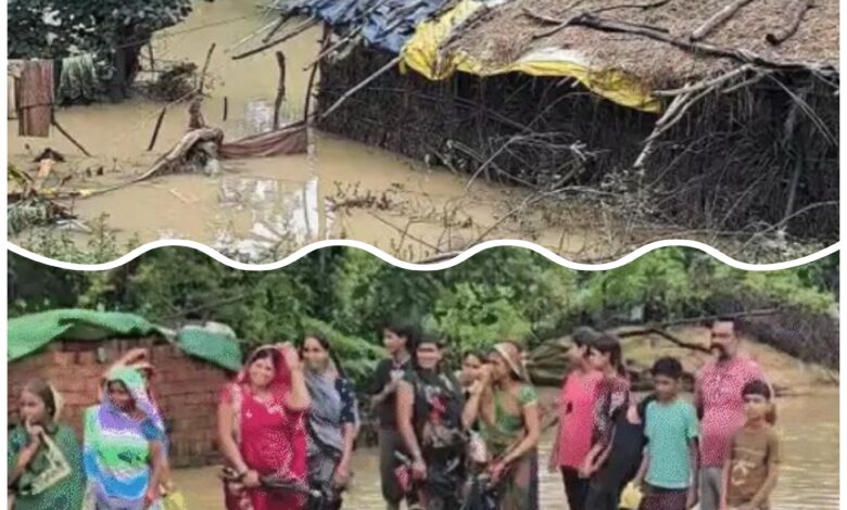 InCollage 20250711 105039390