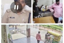 InCollage 20250714 201022735