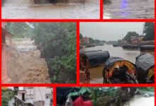 InCollage 20250718 104842081