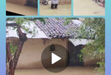 InCollage 20250718 133147954