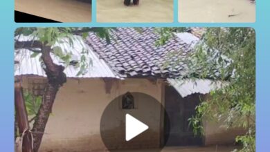 InCollage 20250718 133147954