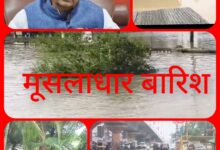 InCollage 20250718 182642530