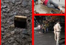 InCollage 20250731 115420117