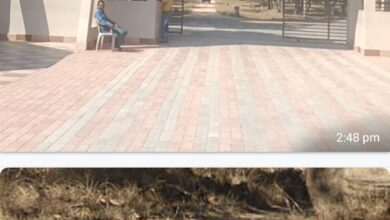 Screenshot 2025 07 02 15 18 36 581 com.whatsapp