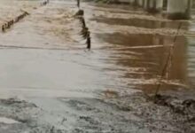 Screenshot 2025 07 07 10 50 30 839 com.whatsapp