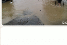 Screenshot 20250708 121317 1