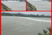 Screenshot 20250721 175326.Gallery