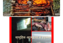 Screenshot 20250727 112448.Gallery