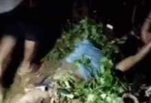 Screenshot 20250729 092243.Dainik Bhaskar