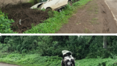 Screenshot 20250729 134831.WhatsApp