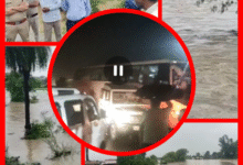 Screenshot 20250730 082923.Gallery