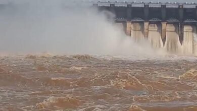 बरगी बांध के 7 गेट खुले, नर्मदा में जलस्तर बढ़ा 9 Untitled 7 copy 1