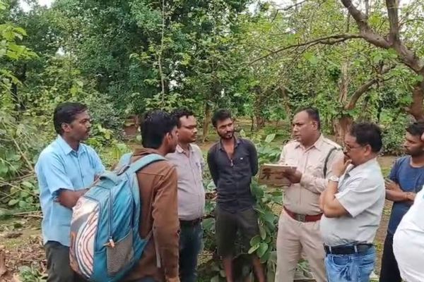 सैल्वारा मुक्तिधाम में सागौन के पेड़ों का 'कत्लेआम': सरपंच पति पर आरोप, ग्रामीणों का बड़ा आंदोलन तय 1 Untitled design 4