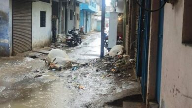 WhatsApp Image 2025 07 02 at 12.23.38