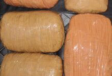 WhatsApp Image 2025 07 06 at 3.29.02 PM