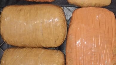 WhatsApp Image 2025 07 06 at 3.29.02 PM