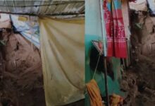 WhatsApp Image 2025 07 08 at 09.41.59