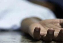 WhatsApp Image 2025 07 11 at 12.43.44