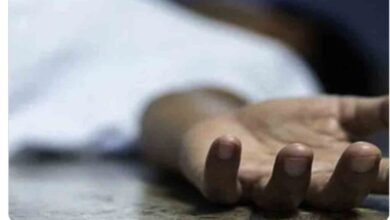 WhatsApp Image 2025 07 11 at 12.43.44