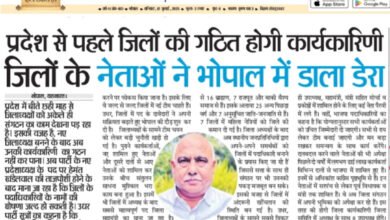 WhatsApp Image 2025 07 12 at 14.59.04 1