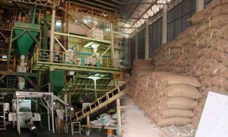 WhatsApp Image 2025 07 13 at 3.39.13 PM