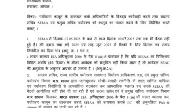 WhatsApp Image 2025 07 14 at 15.46.18