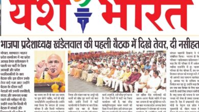 WhatsApp Image 2025 07 15 at 15.05.31