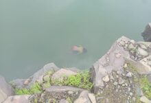 शौच के लिए गई वृद्धा 15 फुट नीचे तालाब में गिरी मौके पर मौत.पुलिस पड़ताल में जुटी 11 WhatsApp Image 2025 07 24 at 11.38.07 AM