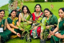 प्राकृतिक के संरक्षण के लिए चलाया पौधरोपण अभियान - सेलिब्रिटी क्लब ऑफ इंडिया की भोपाल प्रभारी प्रियंका साहू की पहल 10 WhatsApp Image 2025 07 28 at 12.16.55