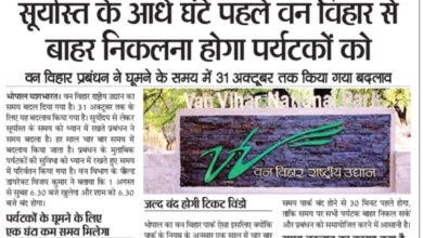 WhatsApp Image 2025 07 31 at 14.27.55 1