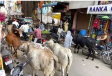 neeraj up 2025 07 28T225736.351