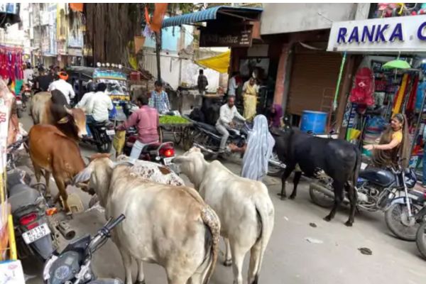 neeraj up 2025 07 28T225736.351